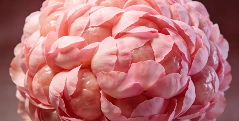 宿州BRCA1/2乳腺癌卵巢癌基因检测图片1