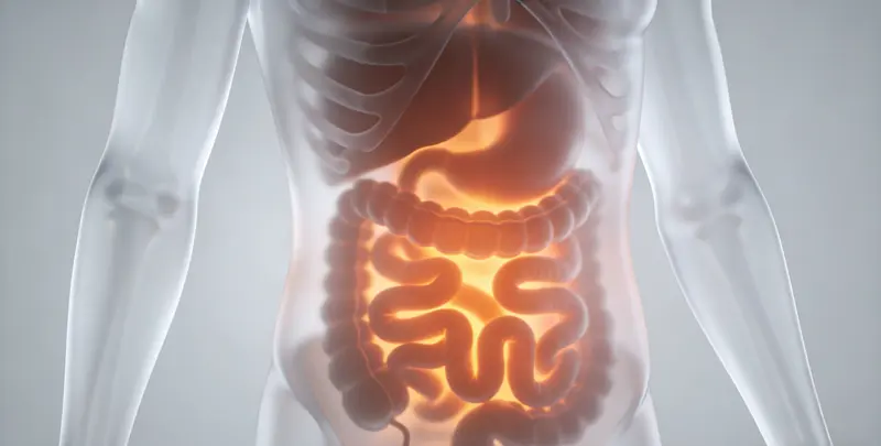 肠癌甲基化检测图2